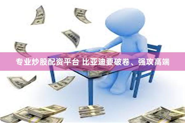 专业炒股配资平台 比亚迪要破卷、强攻高端
