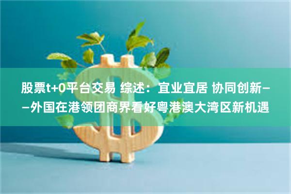 股票t+0平台交易 综述：宜业宜居 协同创新——外国在港领团商界看好粤港澳大湾区新机遇