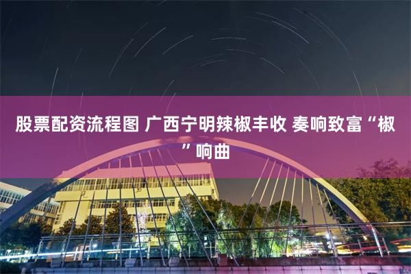股票配资流程图 广西宁明辣椒丰收 奏响致富“椒”响曲