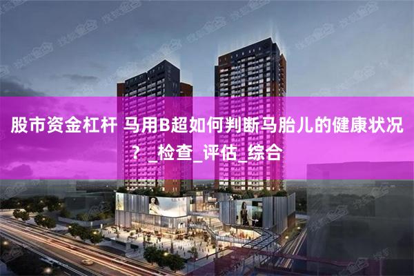 股市资金杠杆 马用B超如何判断马胎儿的健康状况？_检查_评估_综合