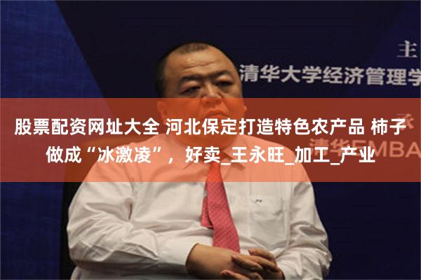 股票配资网址大全 河北保定打造特色农产品 柿子做成“冰激凌”，好卖_王永旺_加工_产业