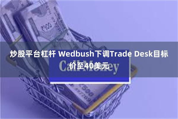 炒股平台杠杆 Wedbush下调Trade Desk目标价至40美元