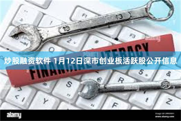 炒股融资软件 1月12日深市创业板活跃股公开信息